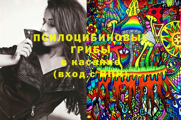 крисы Аркадак