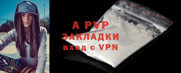 стаф Арсеньев