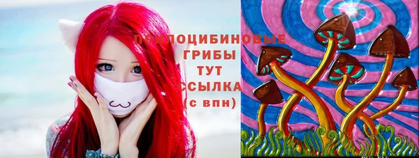 крисы Аркадак