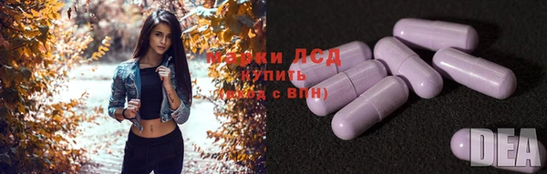 стаф Арсеньев