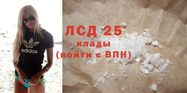 стаф Арсеньев